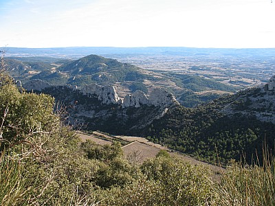 20120122_ 007.jpg